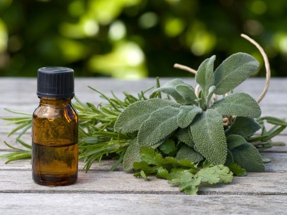 6 Reasons To Use Sage Oil – Buy our 100% Organic Sage Oil NOW