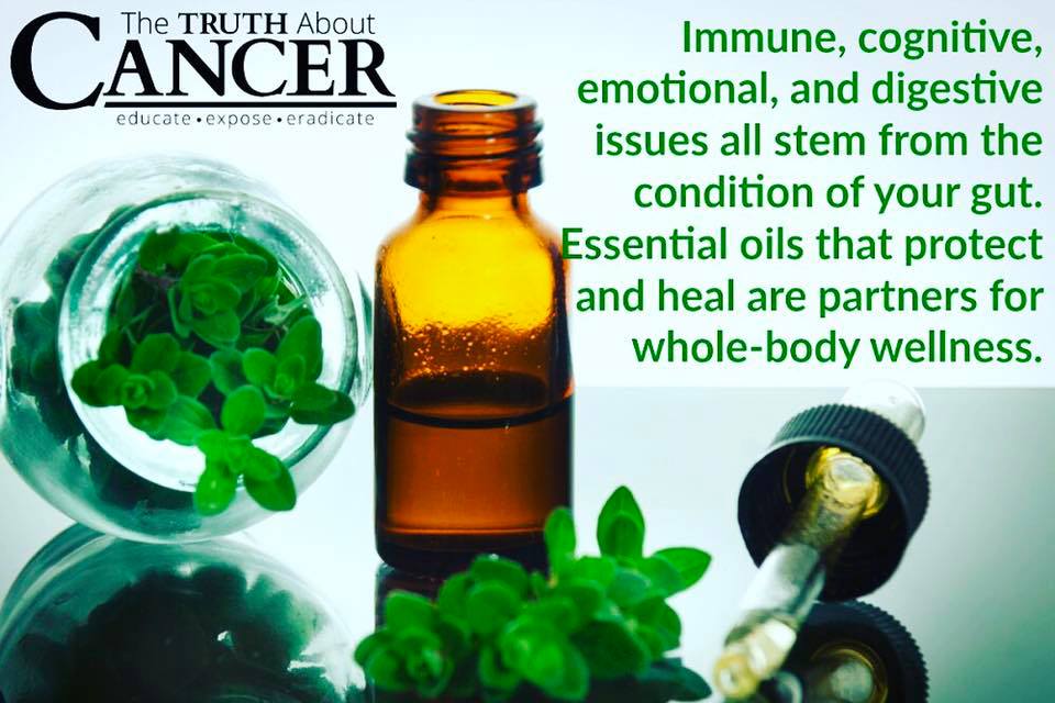 Amazing Benefits of our Sweet Basil Oil