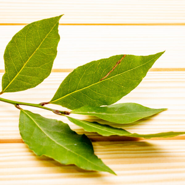 fresh-bay-leaves-on-wooden-background-copy-space-2026-01-09-15-08-09-utc