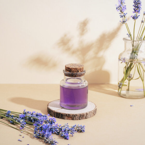 Glass bottle of lavender essential oil and fresh lavender flowers on beige table with shadows. Aromatherapy concept.
