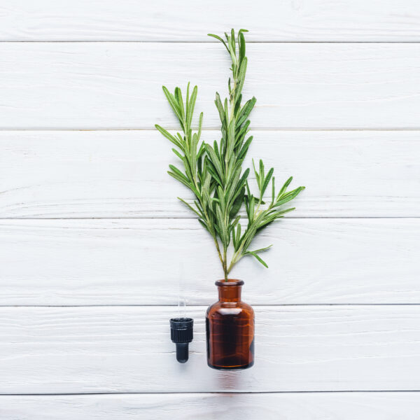 top view of bottle of natural herbal essential oil and twigs with green leaves on white wooden